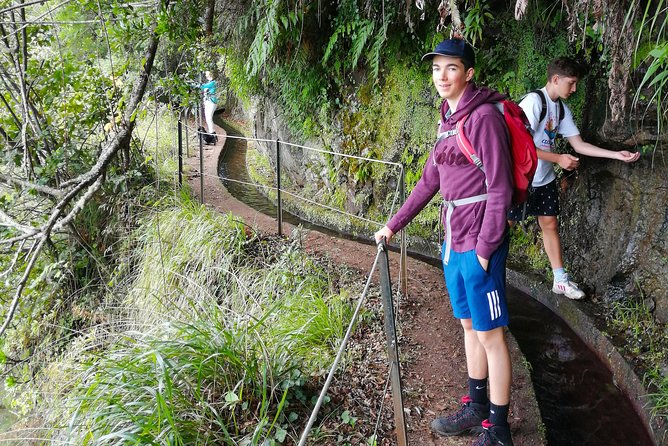 Hiking and Trekking tours in Madeira - Pickup and Transport: Why It Changes Your Whole Day