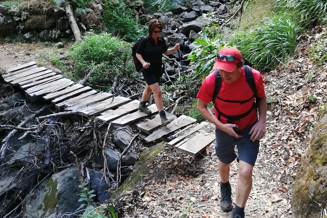 Hiking and Trekking tours in Madeira - Your Guide on the Trail: Learning Without Interrupting the Walk