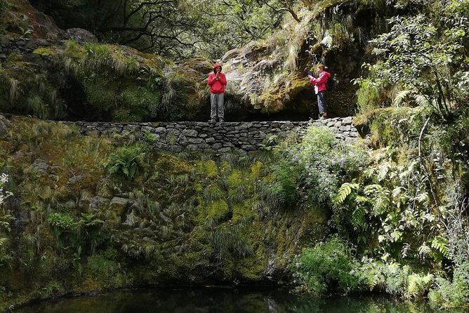 Hiking and Trekking tours in Madeira - Volcanic Terrain and Photo Stops: Where the Best Views Fit In