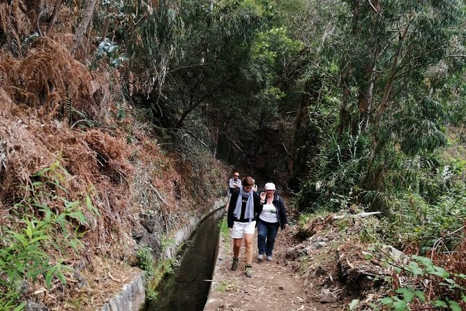 Hiking and Trekking tours in Madeira - Price and Value at $120.02: What You’re Paying For