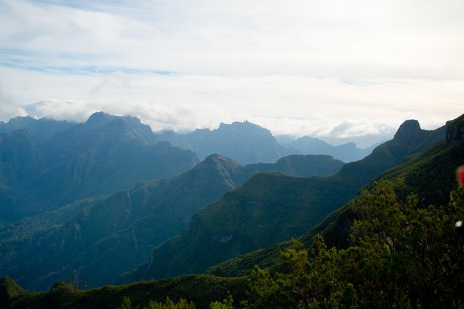 Hiking and Trekking tours in Madeira - Small Group Dynamics: Comfort, Pace, and Real Questions