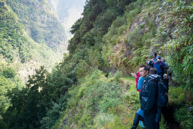 Hiking and Trekking tours in Madeira - The 7-Hour Hike: What the Levadas Experience Really Feels Like