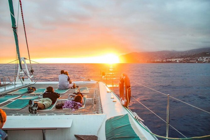 Hop-on Hop-off Bus Tour and Catamaran Whale & Dolphin Watching - Key points before you go