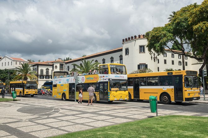 Hop-on Hop-off Bus Tour and Catamaran Whale & Dolphin Watching - Included extras: the small things that change the day