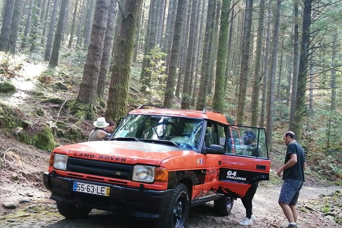 Jeep Safari in Pico Areeiro Santana Faial Full Day Tour - Ribeiro Frio and Balcões: A Short Walk With a View That Pays Off