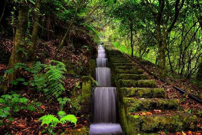 Jeep Safari in Pico Areeiro Santana Faial Full Day Tour - São Jorge Lunch Stop: A Village Break for Local Flavors