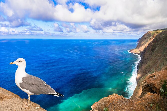 Jeep Safari in Southwest, Calheta and Ponta do Sol Full Day Tour - Stop 2: Madalena do Mar for Banana Country and a Pebble Beach