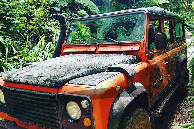 Jeep Tour To Santana: Old Forest Full-Day East-Side - Pico do Arieiro: Third-Highest Peaks and the View That Makes You Talk Less