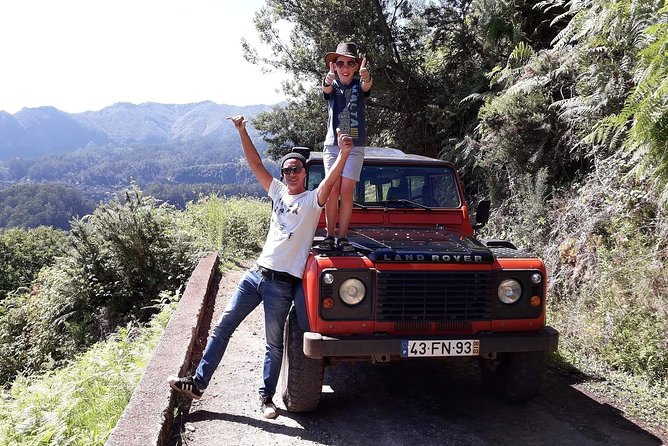 Jeep Tour To Santana: Old Forest Full-Day East-Side - Ponta de São Lourenço and Miradouro da Ponta do Rosto: Dry Cliffs That Feel Like Another Place