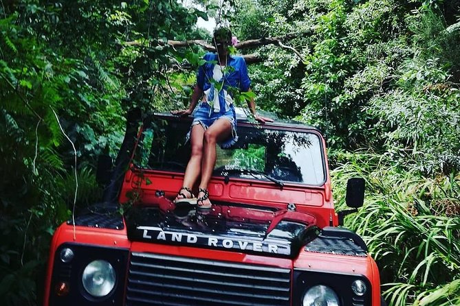 Jeep Tour To Santana: Old Forest Full-Day East-Side - Balcões de Ribeiro Frio: Ferns, Trout Farms, and a Levada Walk