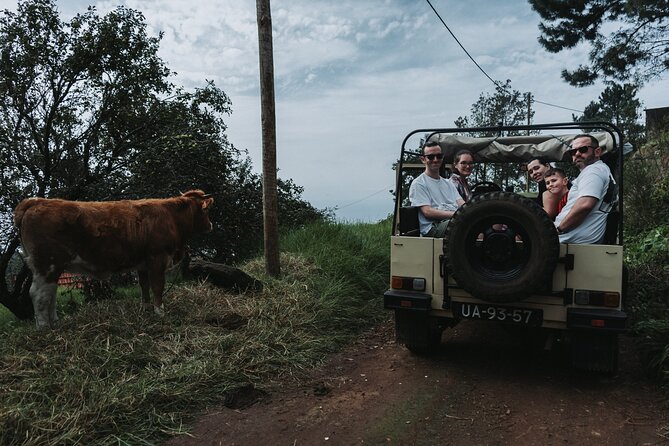 Jeep Tour To ,(Skywalk, Seixal, Porto Moniz, Fanal) - Porto Moniz: lunch time plus volcanic pools and town walking