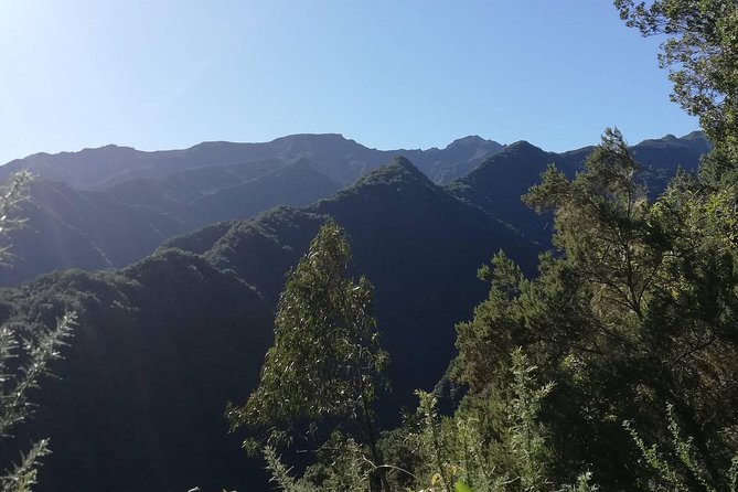Kings Levada - São Jorge - Kings Levada in São Jorge: what the 10 km hike really feels like