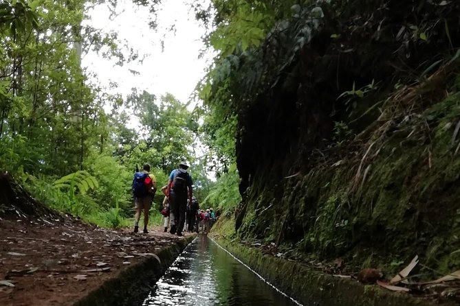 Kings Levada - São Jorge - Getting to the start: air-conditioned transport from Funchal area
