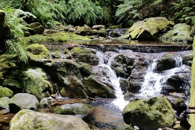 Kings Levada - São Jorge - Pacing, fitness, and what to pack for a 4-hour morning
