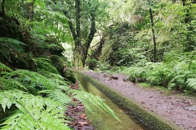 Kings Levada - São Jorge - Weather matters: how to plan when the trail is outdoors