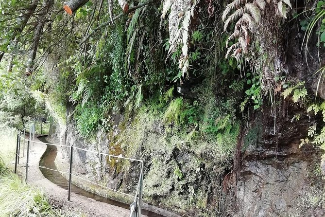 Kings Levada - São Jorge - Stops along the Kings Levada and the picnic lunch break