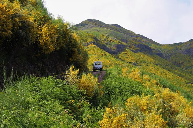 Let-Me-Surprise-You Private Full-Day Tour in All Terrain Vehicle - Stop-by-stop expectations: what you may see when the guide builds the day