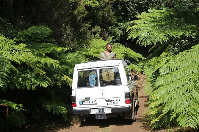 Let-Me-Surprise-You Private Full-Day Tour in All Terrain Vehicle - Price and value: what $302.34 per group buys you