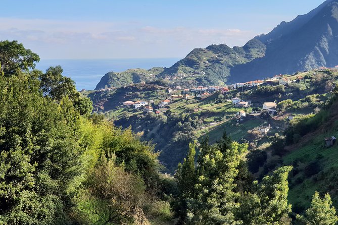 Levada da Referta - Castelejo - The 8:30 Start and Pickup: Less Waiting, More Walking