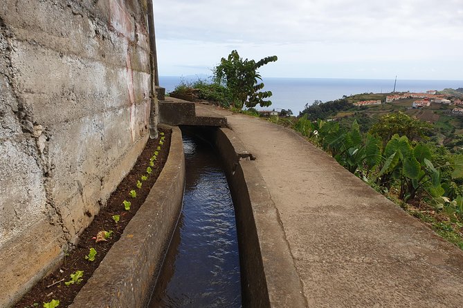 Levada da Referta - Castelejo - Your Guide Matters: Álvaro and Avrelo’s Clear, Funny Wayfinding