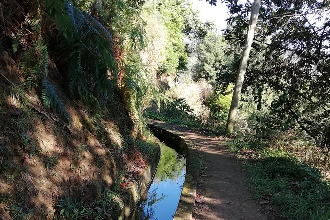Levada da Referta - Castelejo - Walking the Levada: Terraces, Water, and Views Above Porto da Cruz