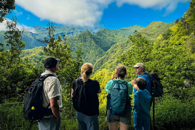 Levada do Rei (PR18) - Through Madeira's Majestic Laurissilva - Key highlights worth your attention