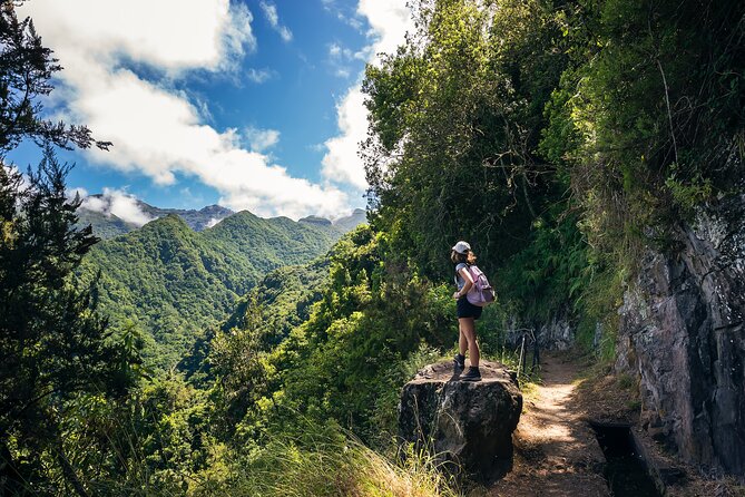 Levada do Rei (PR18) - Through Madeira's Majestic Laurissilva - Inside Madeira’s Laurissilva: what Levada do Rei PR18 is really like