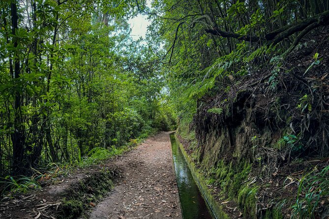 Levada do Rei (PR18) - Through Madeira's Majestic Laurissilva - Weather reality: rain or shine, with safety as the rule
