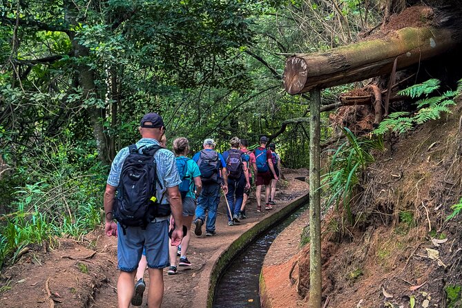 Levada do Rei (PR18) - Through Madeira's Majestic Laurissilva - Price and value: what you’re getting for $52.85