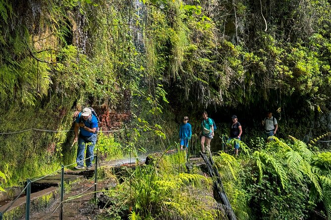 Levada do Rei (PR18) - Through Madeira's Majestic Laurissilva - Hotel pickup in Funchal and Caniço: the morning logistics that matter