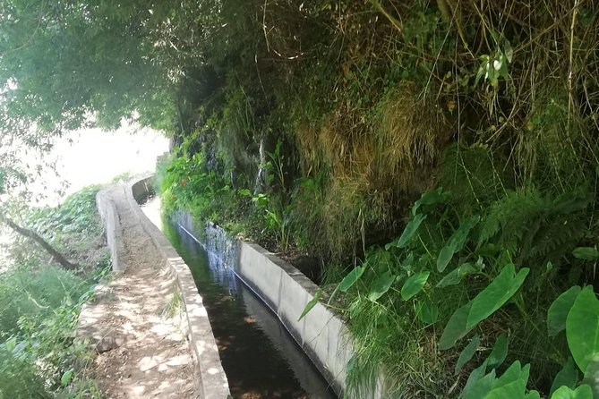 Levada Serra D´Agua - Getting there smoothly: pickup in Funchal and the 8:45 am start