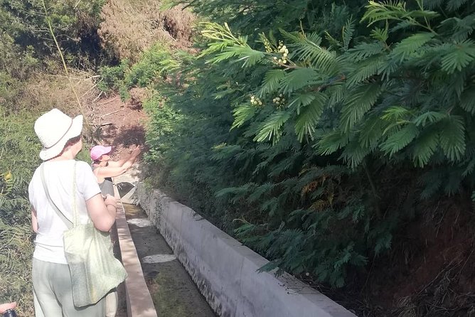 Levada Serra D´Agua - Picture moments along the way: what to aim for (and what to ignore)