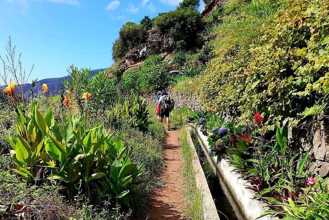 Levada Serra D´Agua - Price and time value: is $42.01 worth it?