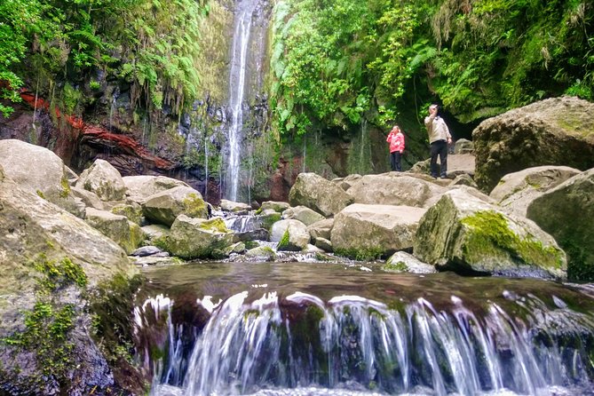 Levada & Waterfalls Hike 25 Fountains, Rabaçal, Risco more Challenging Walk - Stop 2: Levada do Alecrim (About 1 Hour on the Irrigation Trail)