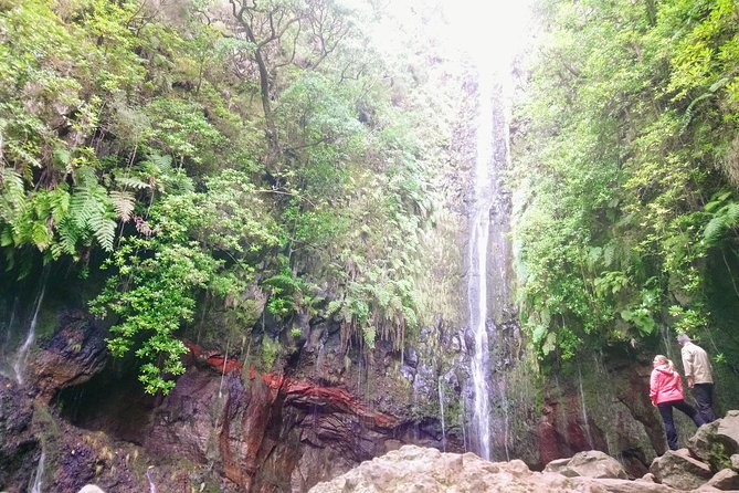 Levada & Waterfalls Hike 25 Fountains, Rabaçal, Risco more Challenging Walk - Who This Small-Group Hike Is Best For (and Who Might Want the Easier Version)