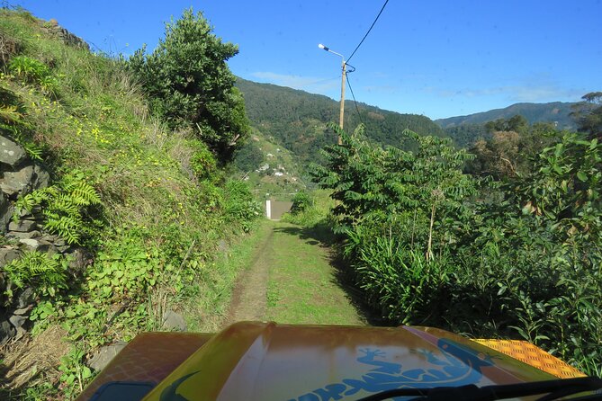 Local Farmers Market and 4WD Experience from Funchal - The Santo da Serra farmers market: bread, produce, and homemade drinks