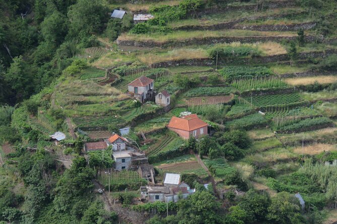 Local Farmers Market and 4WD Experience from Funchal - Garajau’s Christ the King viewpoints: photo time that’s actually planned