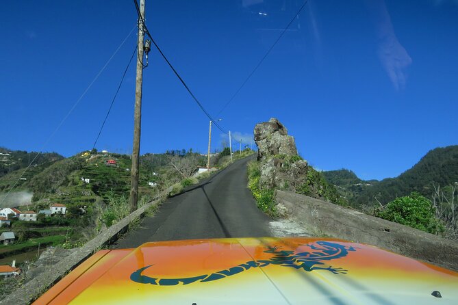 Local Farmers Market and 4WD Experience from Funchal - Santa Cruz at the end: agriculture and fishing without the lecture