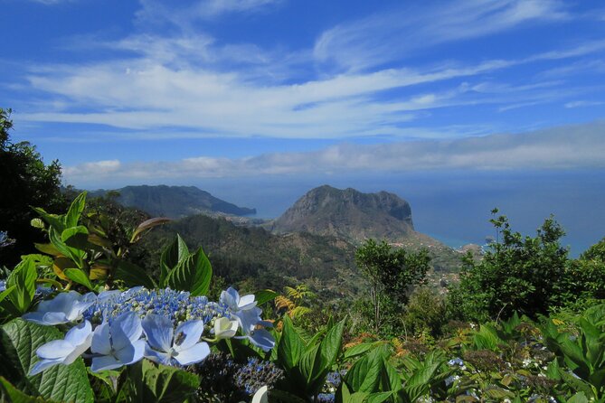 Local Farmers Market and 4WD Experience from Funchal - Open-top 4x4 practical tips for comfort and photos