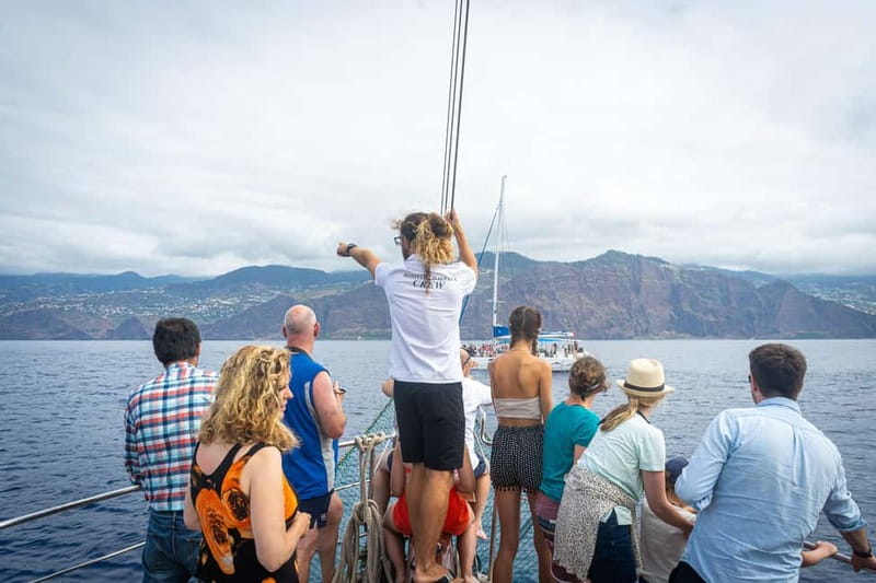 Madeira : 5 hour East Coast boat excursion - East Coast Cliffs by Boat: What Makes This Madeira Trip Special