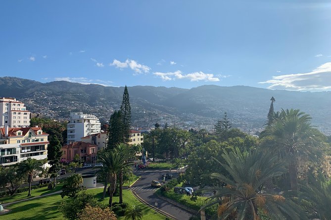 Madeira Airport Round Trip Shuttle Transfers Service - Small-Group Comfort: The “Big Bus” Problem Avoided