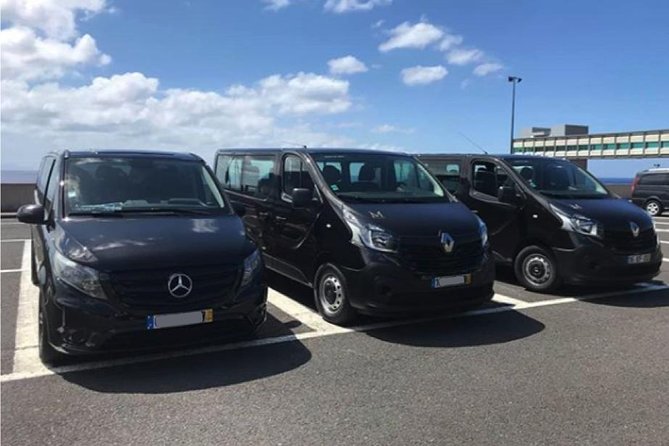 Madeira Airport Round Trip Shuttle Transfers Service - Meeting Your Driver at FNC Arrivals Hall