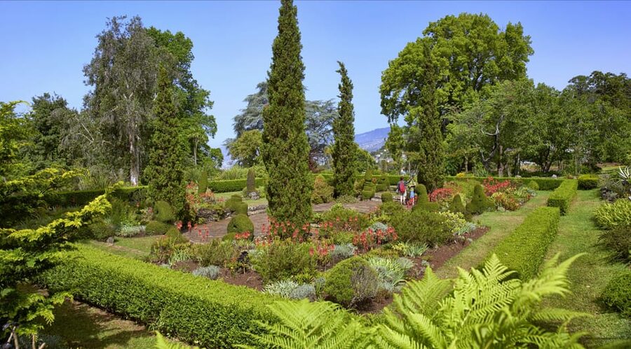 Madeira: Botanical, Monte Palace, and Palheiro Gardens - How to get the most out of 4 hours (without feeling rushed)