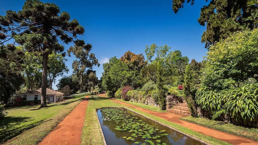 Madeira: Botanical, Monte Palace, and Palheiro Gardens - Should you book this Madeira botanical tour?