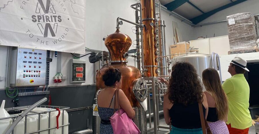 Madeira: Distilleries - Modern distillery stop: how rum is made, and why the tasting is the best part