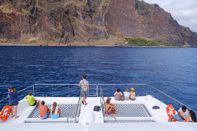 Madeira Dolphin and Whale Watching on a Ecological Catamaran - Where you meet in Funchal (and what you don’t get)