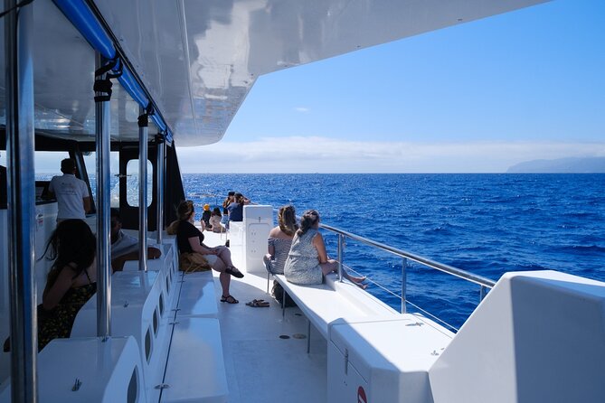 Madeira Dolphin and Whale Watching on a Ecological Catamaran - The 3-hour loop: Funchal first, then a coastline show on the way back