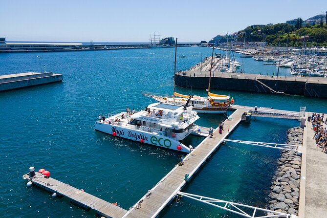 Madeira Dolphin and Whale Watching on a Ecological Catamaran - Onboard comfort: where you sit matters when the sea turns