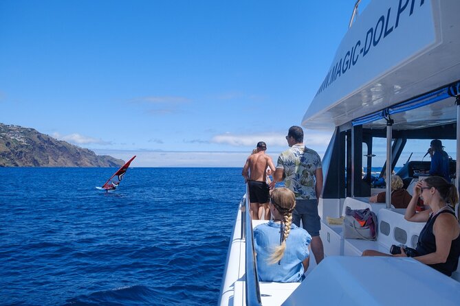 Madeira Dolphin and Whale Watching on a Ecological Catamaran - Price and value: $42.33 for 3 hours with real scenery