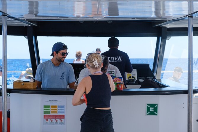 Madeira Dolphin and Whale Watching on a Ecological Catamaran - How the spotters guide you to dolphins and whales